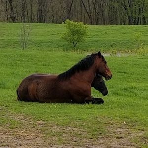 Meet your Posher, Kendall